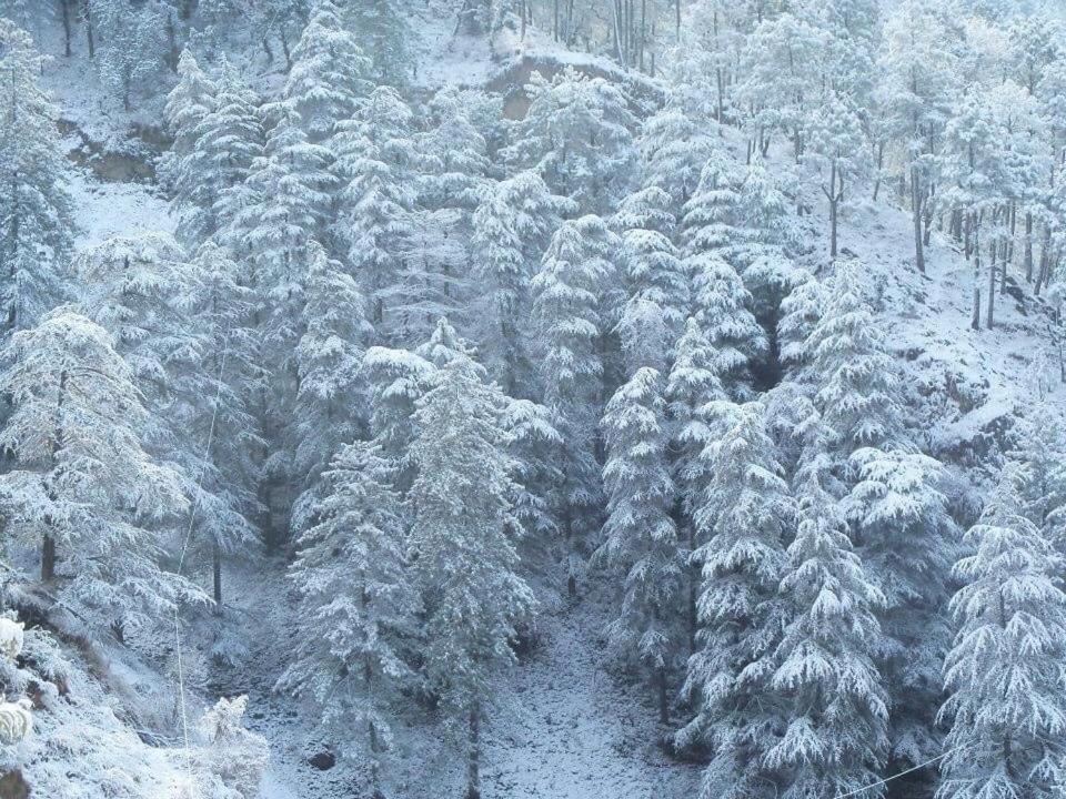 Calm Paradise ชิมลา ภายนอก รูปภาพ